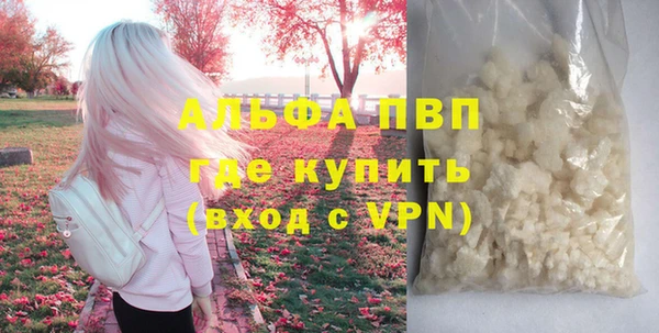 индика Алапаевск