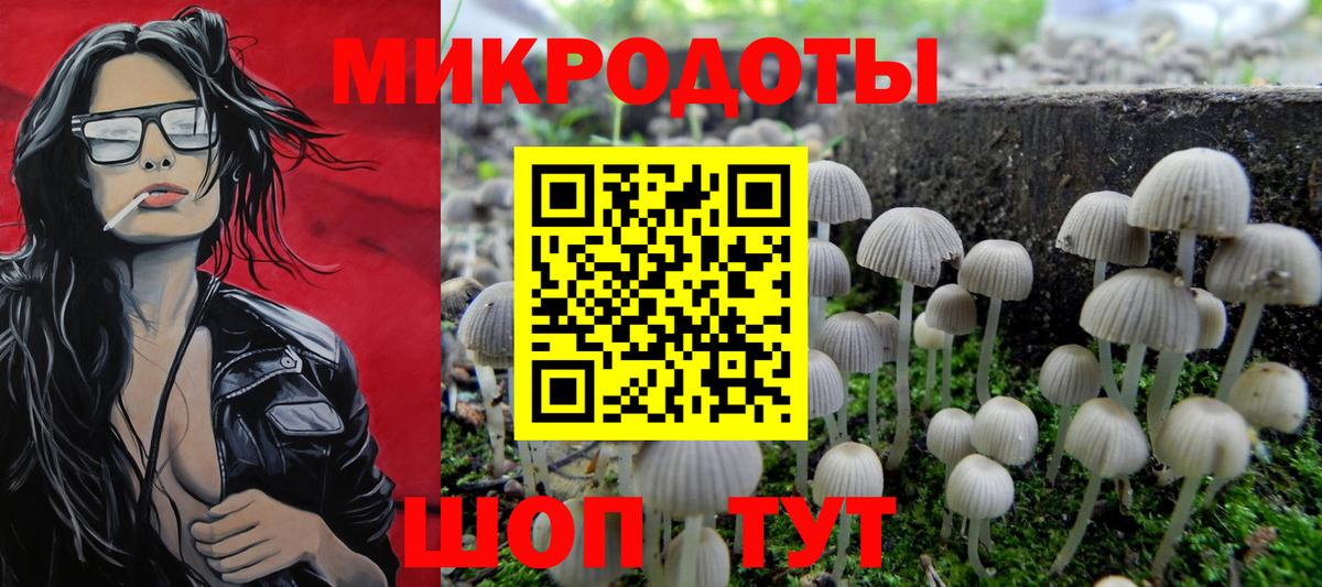 Псилоцибиновые грибы Psilocybe  Вход с VPN  Канск  Галлюциногенные грибы Psilocybe 